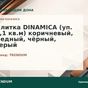 Dinamica